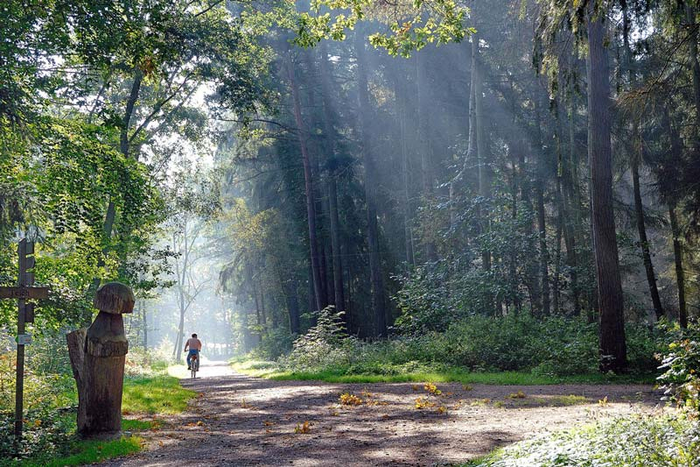 Kellenhusen Ferienwohnung kaufen Wald