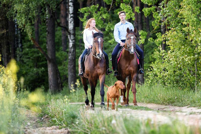 Wohnung kaufen Hoisbüttel Reiten